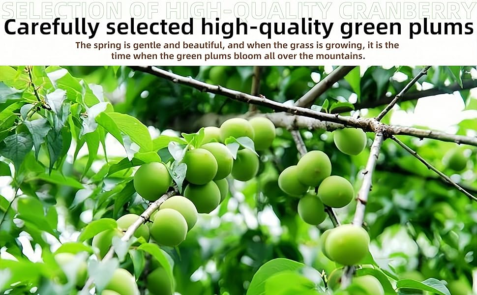  Prunes séchées chinoises salées et aigres Prunes