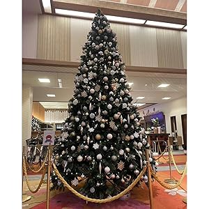 巨大なクリスマスツリー 10周年を迎えるグランフロント大阪でクリスマスイベント開催