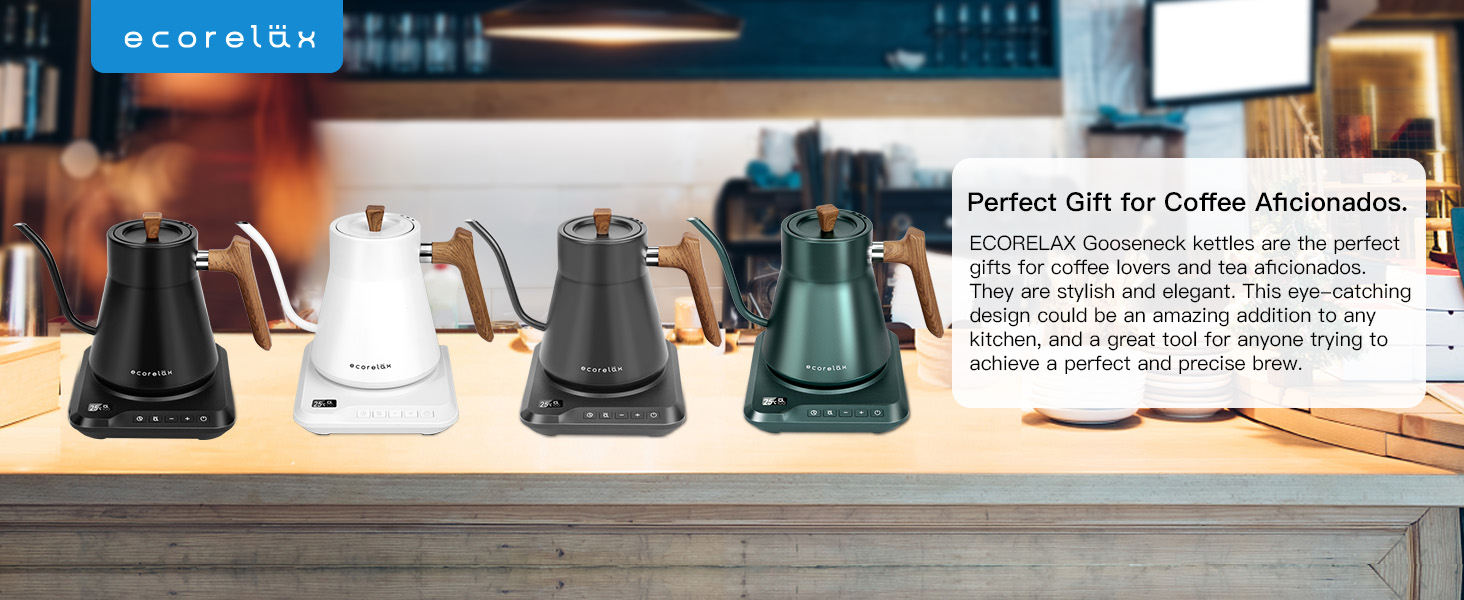 ECORELAX Gooseneck Electric Kettle with Temperature Control,1200W