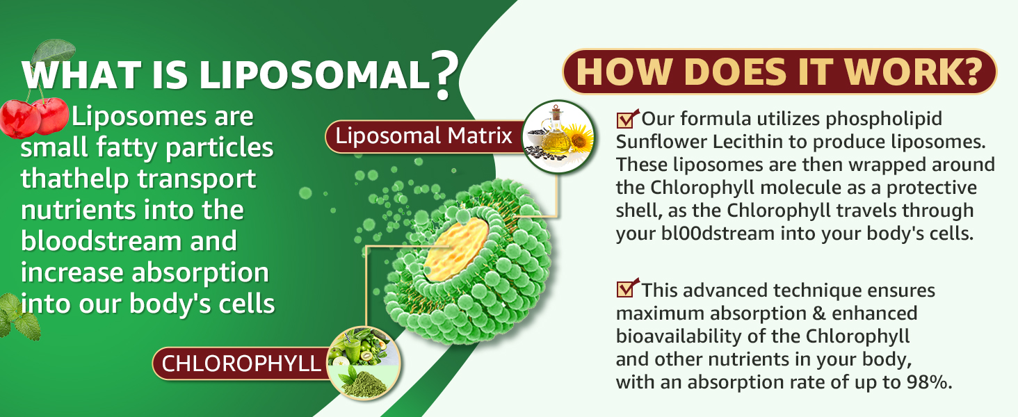 Chlorophyll Liquid Drops