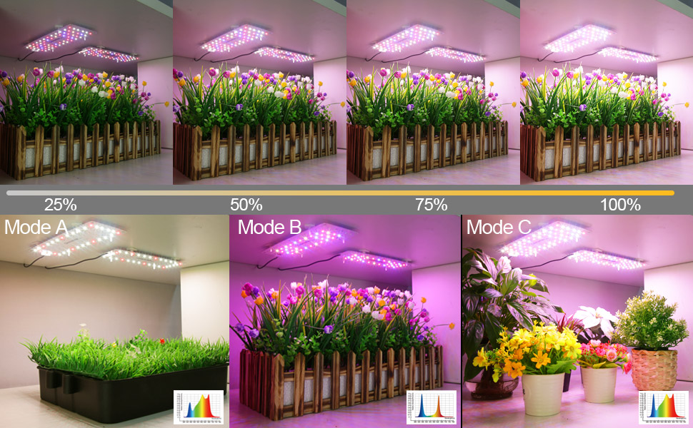DOMMIA Grow Light, 20W Grow Lights for Indoor Plants with Changable