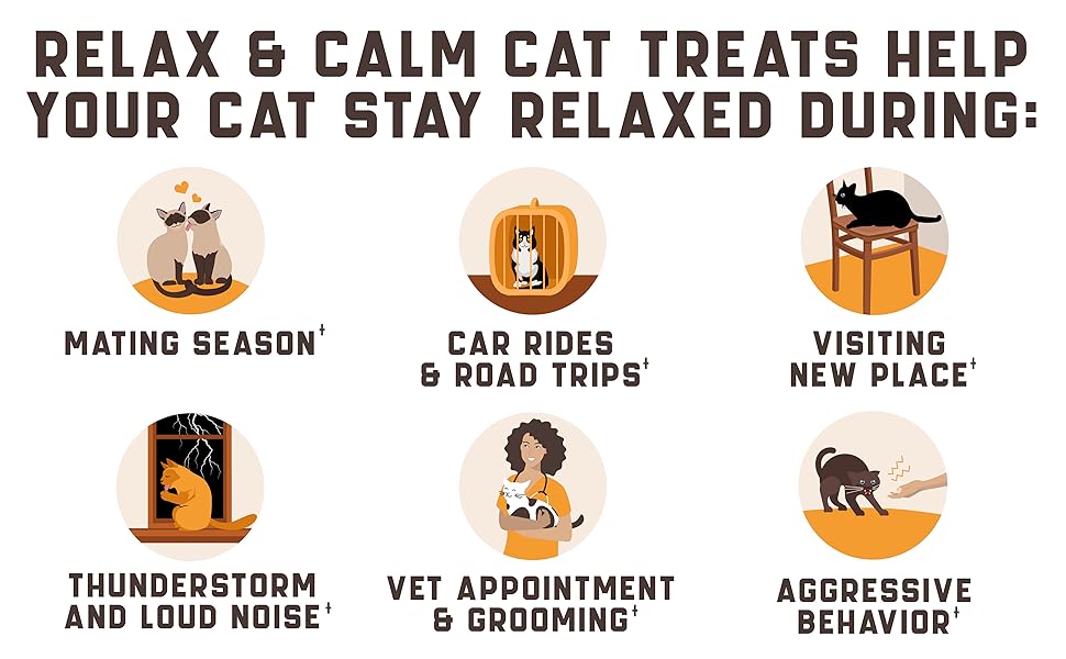 Kinpur Pet Care 
