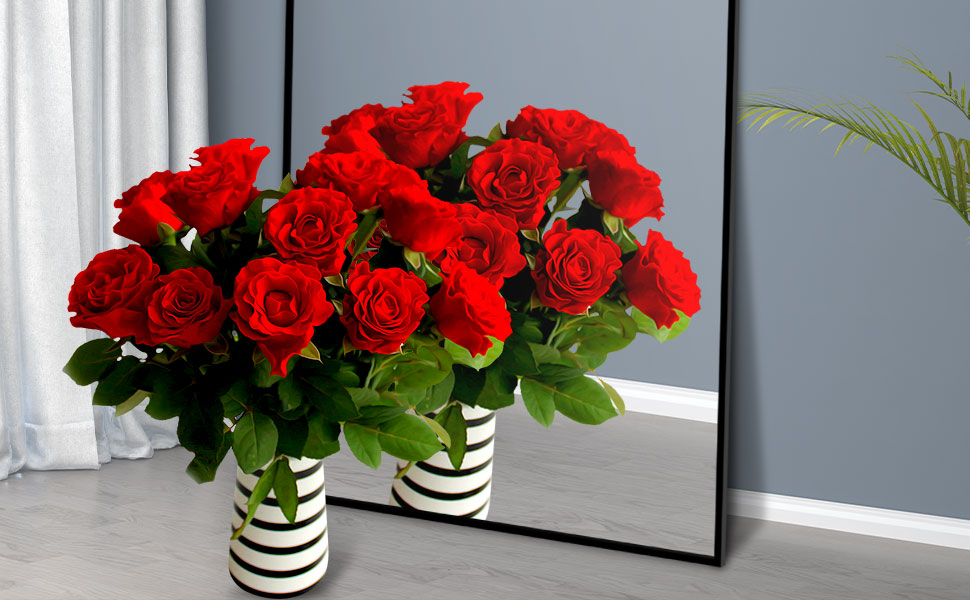 KOCUUY Bathroom Mirrors for Over Sink, 71" x 30" Wall