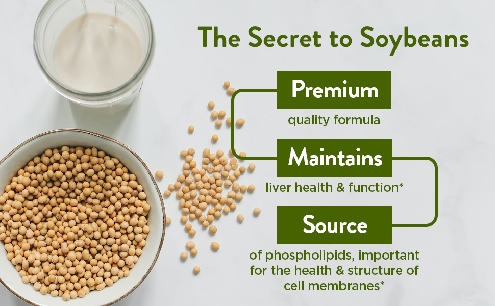 Swisse Soy Lecithin 1200mg Softgels Capsules Maintains