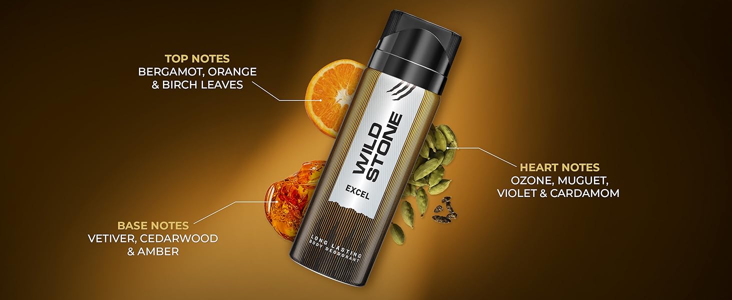 Wild Stone Excel Deodorant for Men