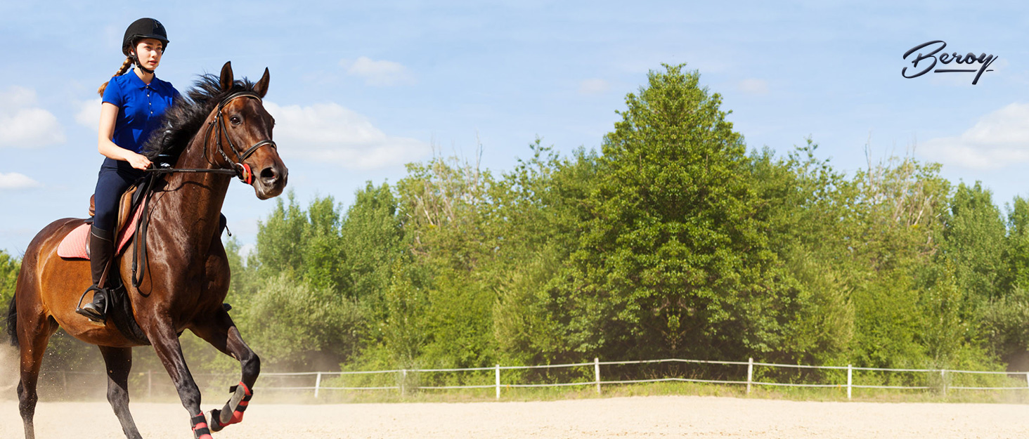 WOMEN HORSE RIDING PANTS