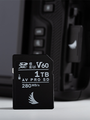 Angelbird AV Pro SD MK2 64GB V60 UHS-II Memory Card - Buy