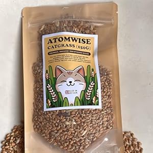 Cat grass for indoor cats