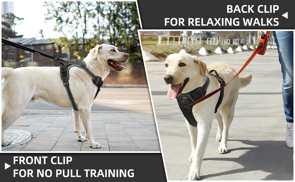 AirTag Dog Harness, Integrated Dog Vest with 100