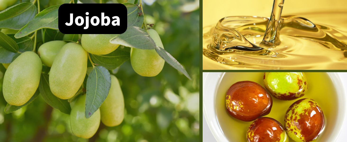 Jojoba Oil Jojoba Oil Golden Organic