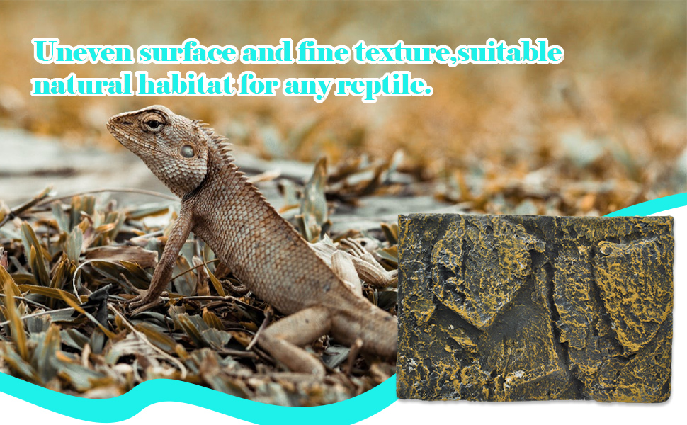 Terrarium Background Reptile Tank Rock Background Lizard Tank