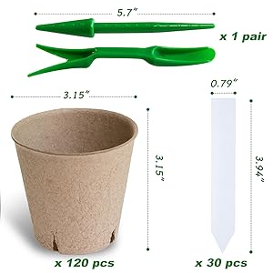 paper seeding pots