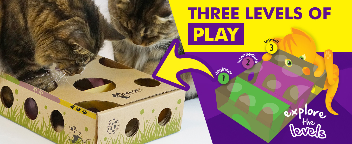 cat enrichment physical activity slow feeder slow food puzzle for slw eating with three levels