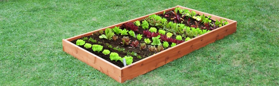 raised garden bed