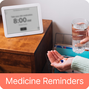 Robin Day Clock Extra Large Vision Impaired Vision Digital Clock Alarms Reminders 12" Display