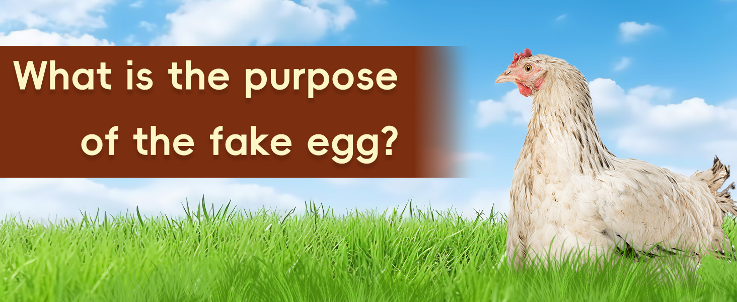 6Pcs Fake Eggs Wooden Eggs Dummy Eggs Artificial Eggs Tool