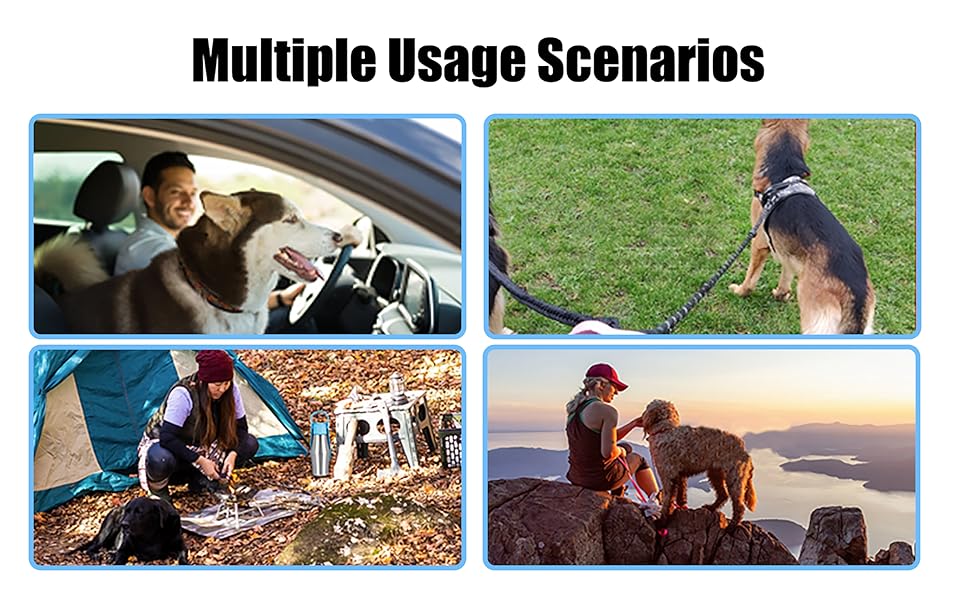 750ml Dog water Bottle