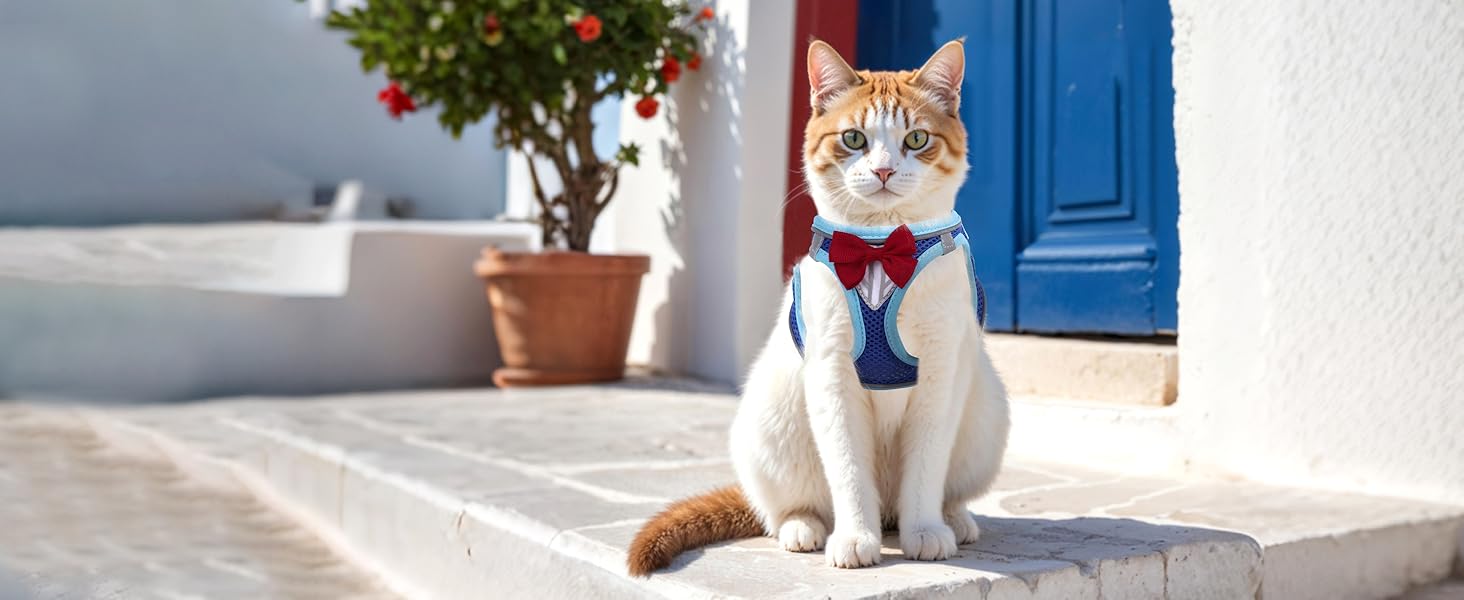 cat vest