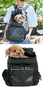 Amazon.co.jp: [citydog/シティドッグ] シティバックパック