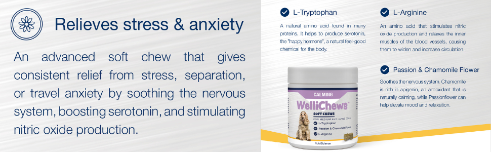 Wellichews Calming Chews For Dogs and Cats - Seperation Anxiety Relief for Dogs - Puppy, Small Dog & Cat Calming Treats for Chronic or Acute Anxiety & Behaviour Problems 13 more detail about the ingredients and how they work