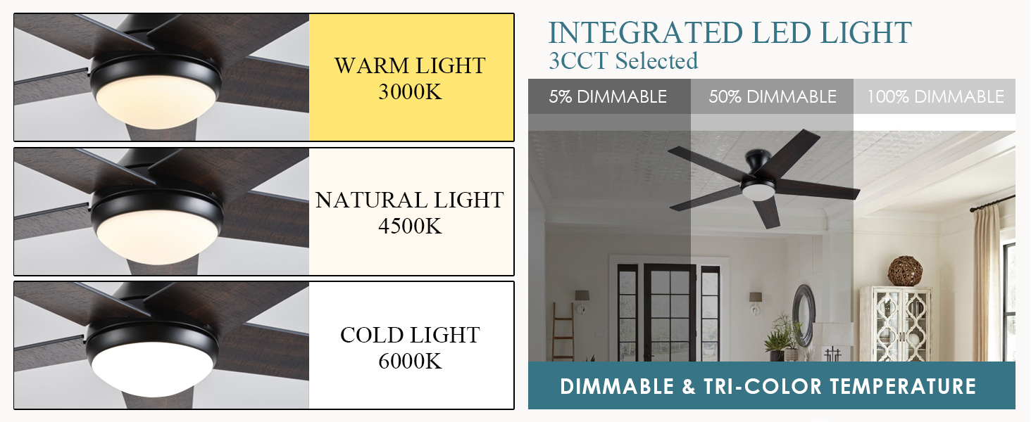Ceiling Fans with Light