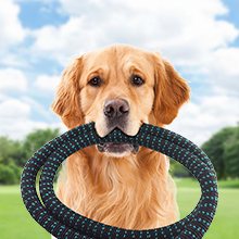 garden hose 50 ft