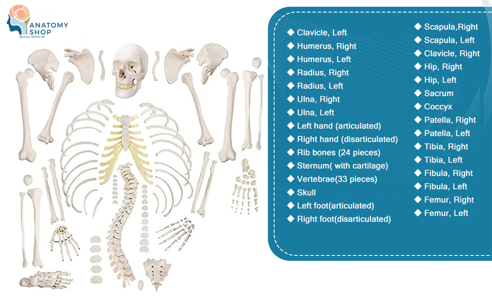 Large manufacture image 2