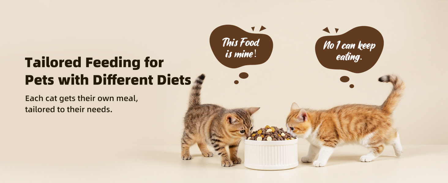 automatic cat feeder 3 cats