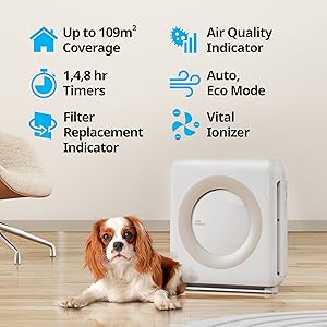 Product Key Features