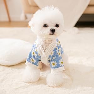 犬の服