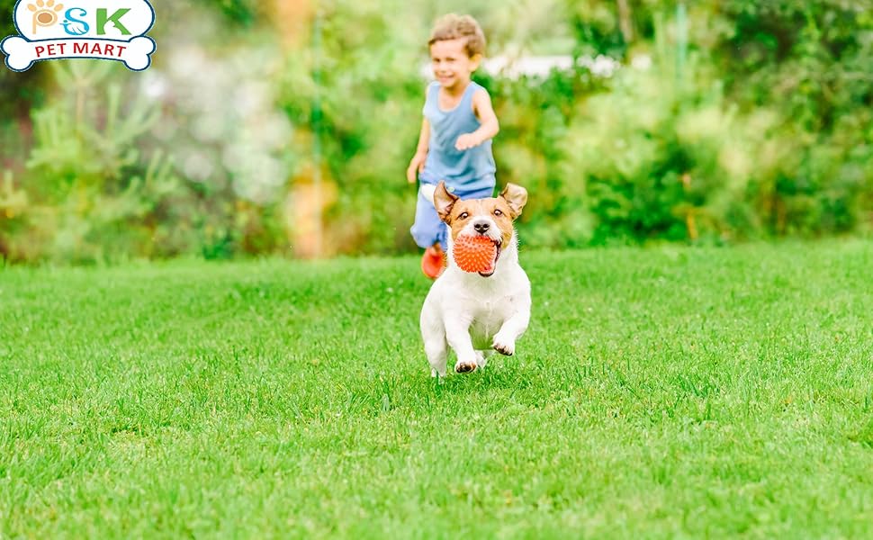 Keep Your Dog Always Busy