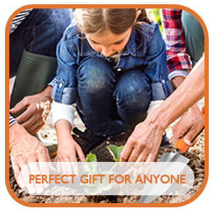 Hands planting or gardening in soil with text overlay reading 'PERFECT GIFT FOR ANYONE' in orange frame.