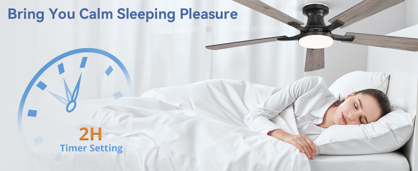 52 Inch Smart Ceiling Fans with RGB Lights