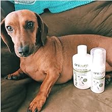 dog gel