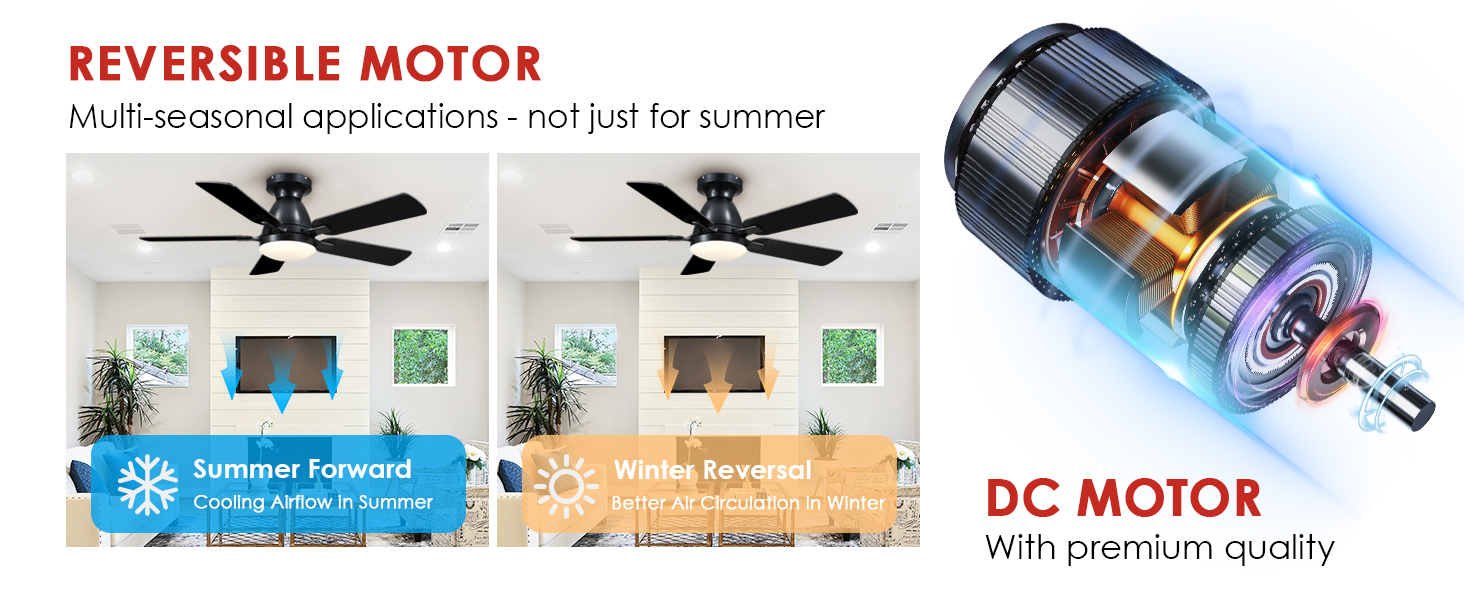 Ceiling Fans with Lights