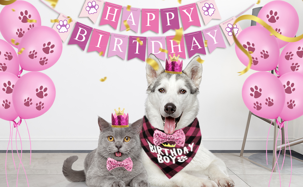 Dog Birthday Party Supplies