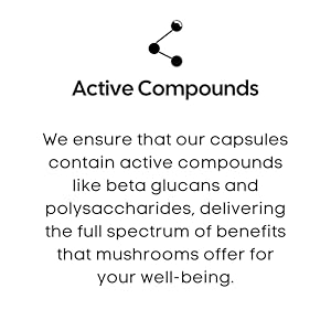 turkey tail mushroom capsules, turkey tail mushroom, turkey tail mushroom extract, turkey tail