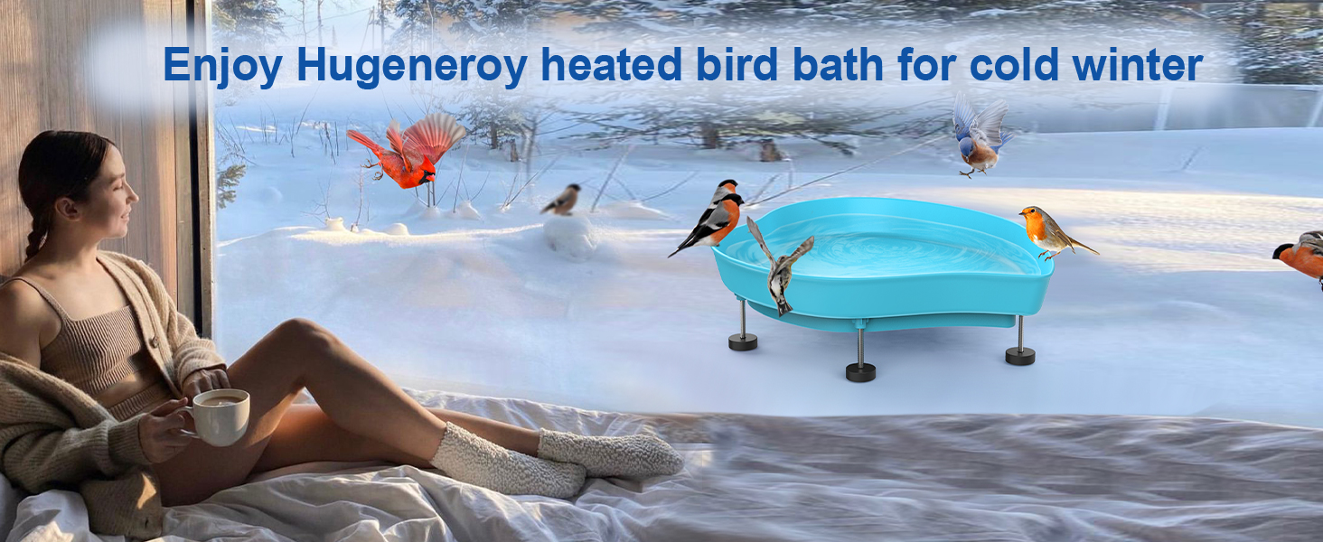 heated bird bath for cold winter