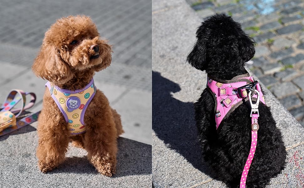 DUKIER - Dog Body Harness, Anti-Pull Body Vest, Adjustable and Heavy Duty for Pets, Breathable Mesh, Pet Accessory with Velcro and Double Closure, Purple, XS 15 Dos perros pequeños con arneses de colores. Izquierda: perro de pelo rizado marrón con arnés estampado amarillo. Derecha: perro negro de pelo rizado con arnés rosa con