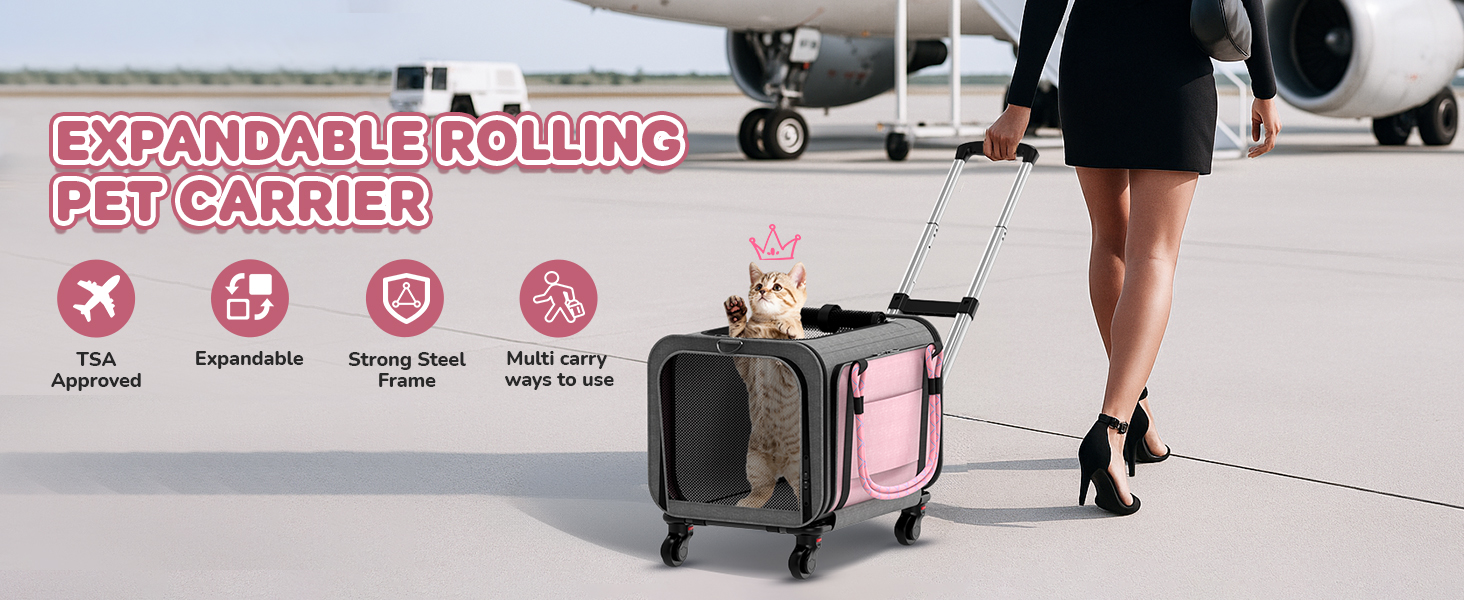 pet carrier airline approved