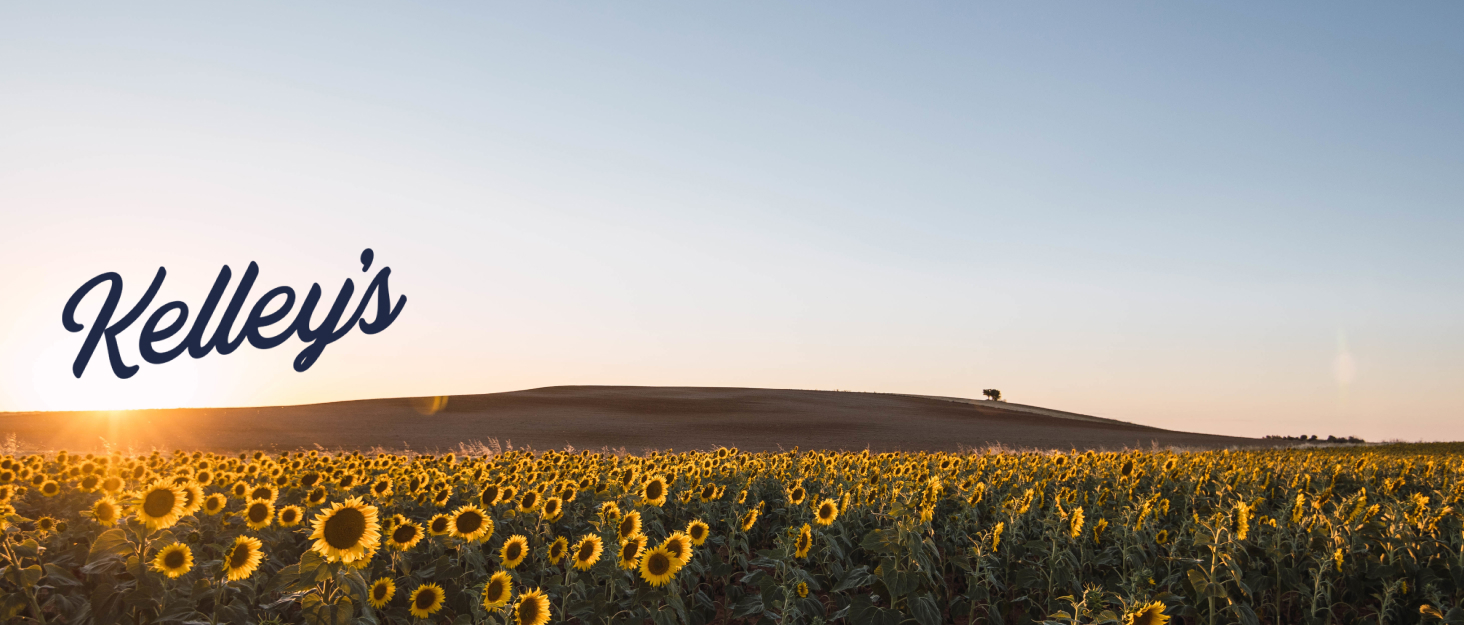 Kelley’s Bee Pollen, 9 oz 100 Raw Bee Pollen Granules
