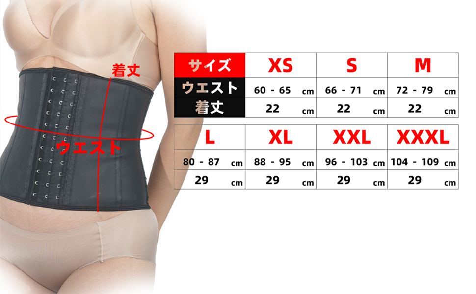 ウエストシェイパー Amazon.co.jp: Ann Chery コルセット ウエストトレーナー 女性用