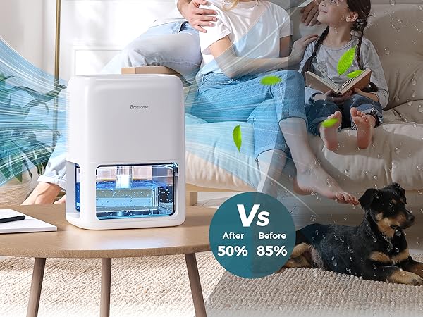 dehumidifiers for room