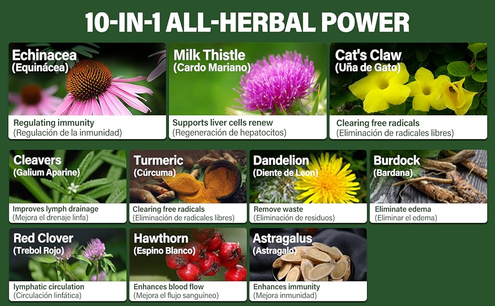 10-in-1 all-herbal power
