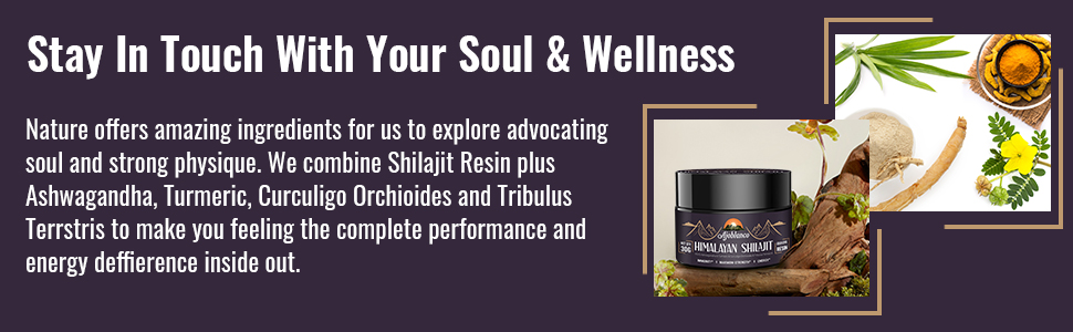 Shilajit Resin