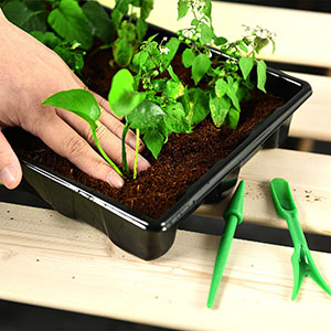 Seed Starter Tray with Humidity Dome for gardening