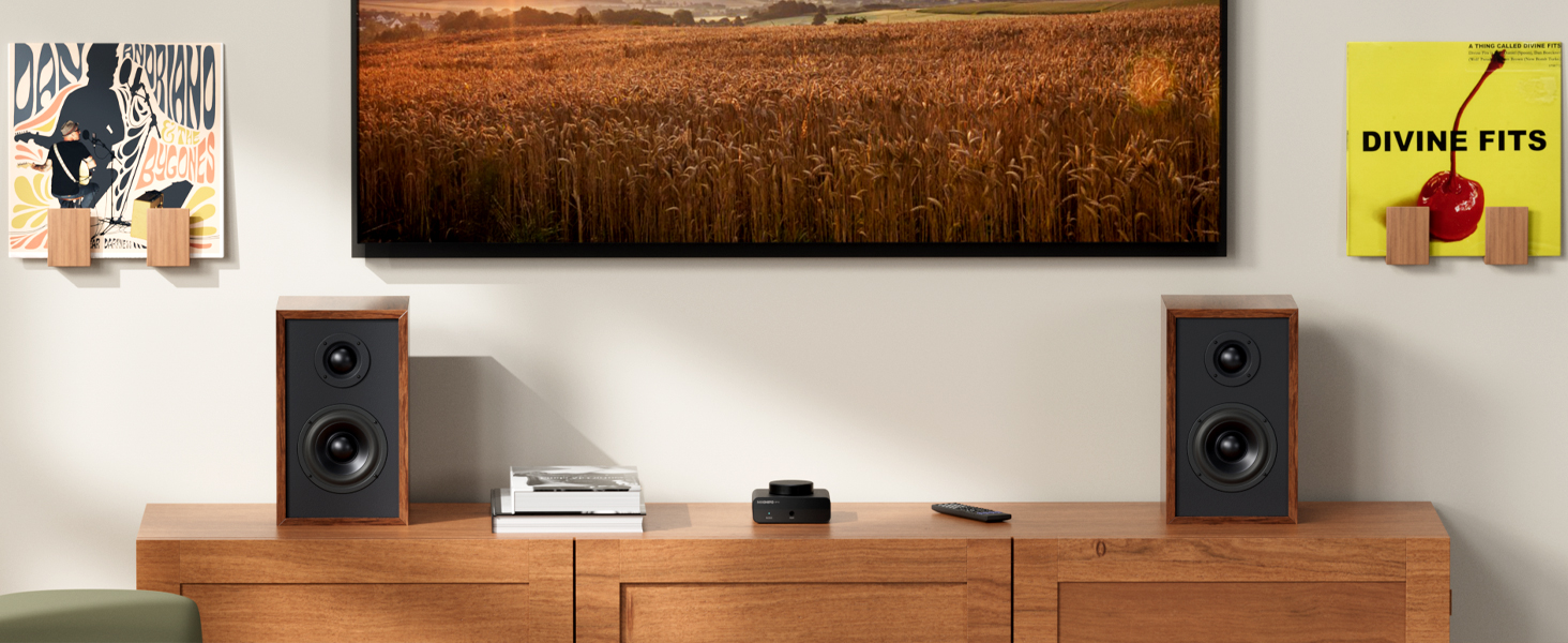 amplificatore Bluetooth Amplificatore Potenza Amplificatore HiFi Stereo Amplificatore Casse Passive