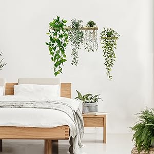hanging plants
