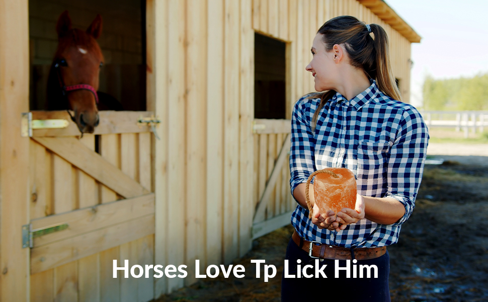Animal licking salt