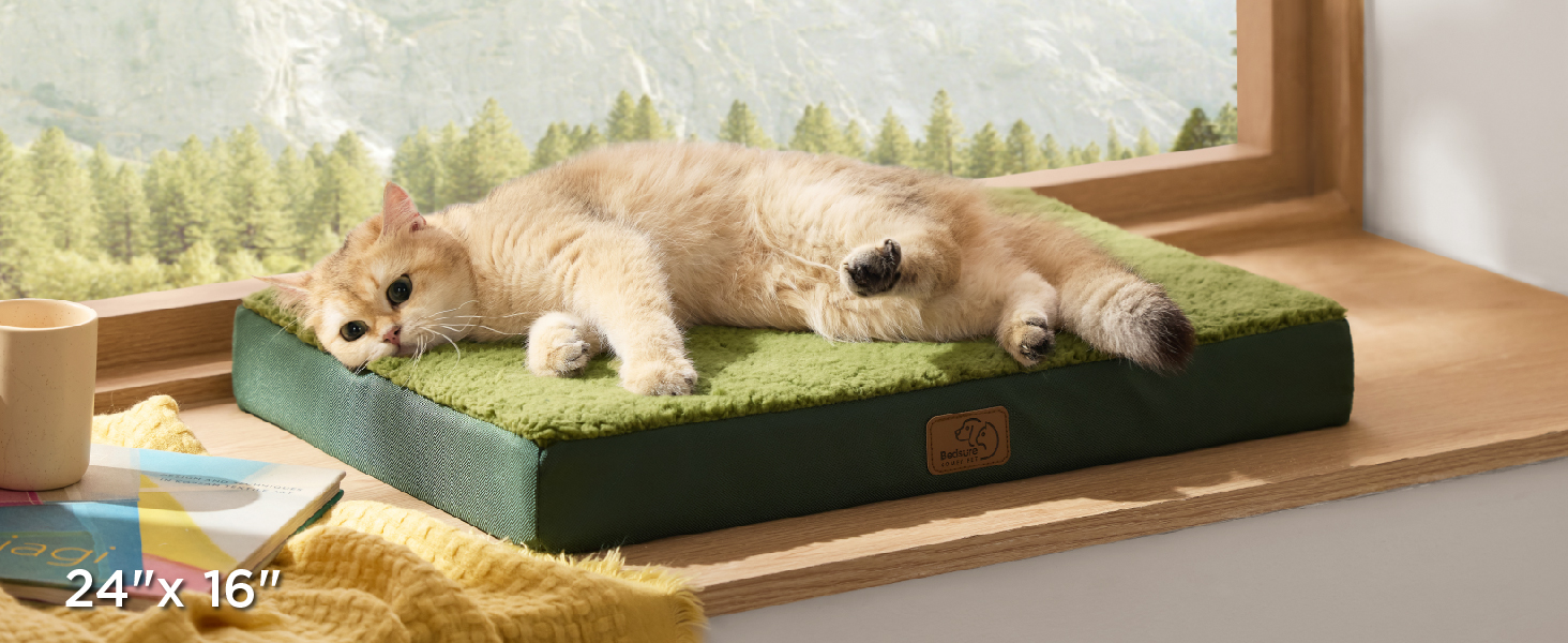 dog bed